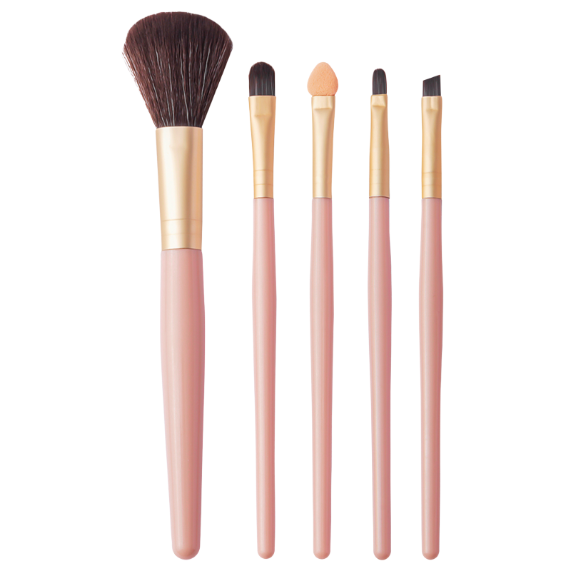 Excellent Brush Set Rose Blossom
